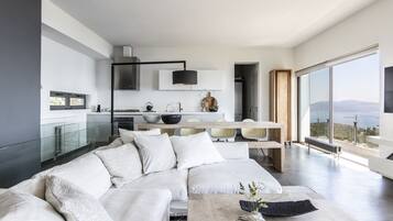 Smart TV, fireplace, DVD player, books