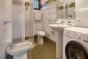 Shower, hair dryer, bidet, towels