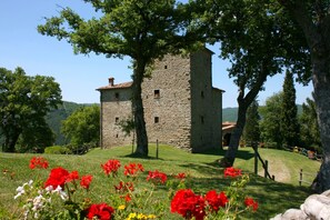 Exterior - Beautiful private villa for 16 guests with private pool, WIFI and TV (Arezzo)