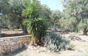Parco della struttura