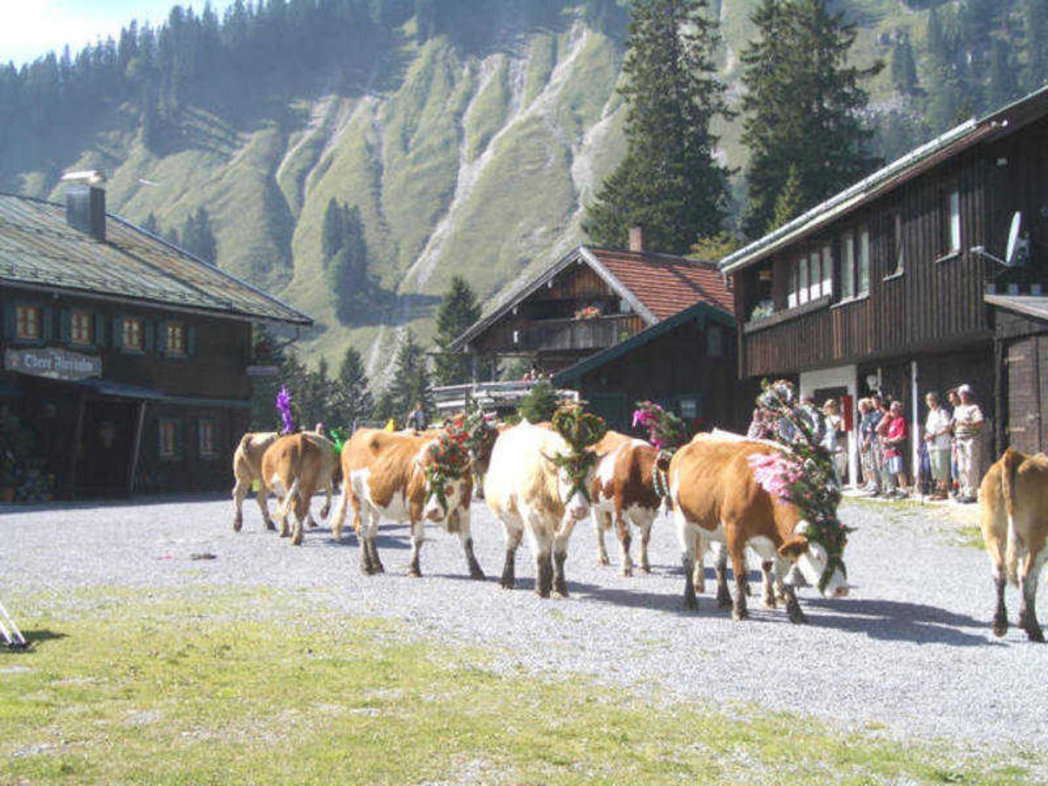 Uma aldeia rural com edifícios de madeira tradicionais, uma estrada de cascalho e montanhas ao fundo.