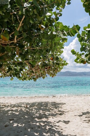 A beach with clear turquoise water, white sand, and green foliage overhead. - Villa Nautilus, Nautilus on Sapphire Beach (Charlotte Amalie)