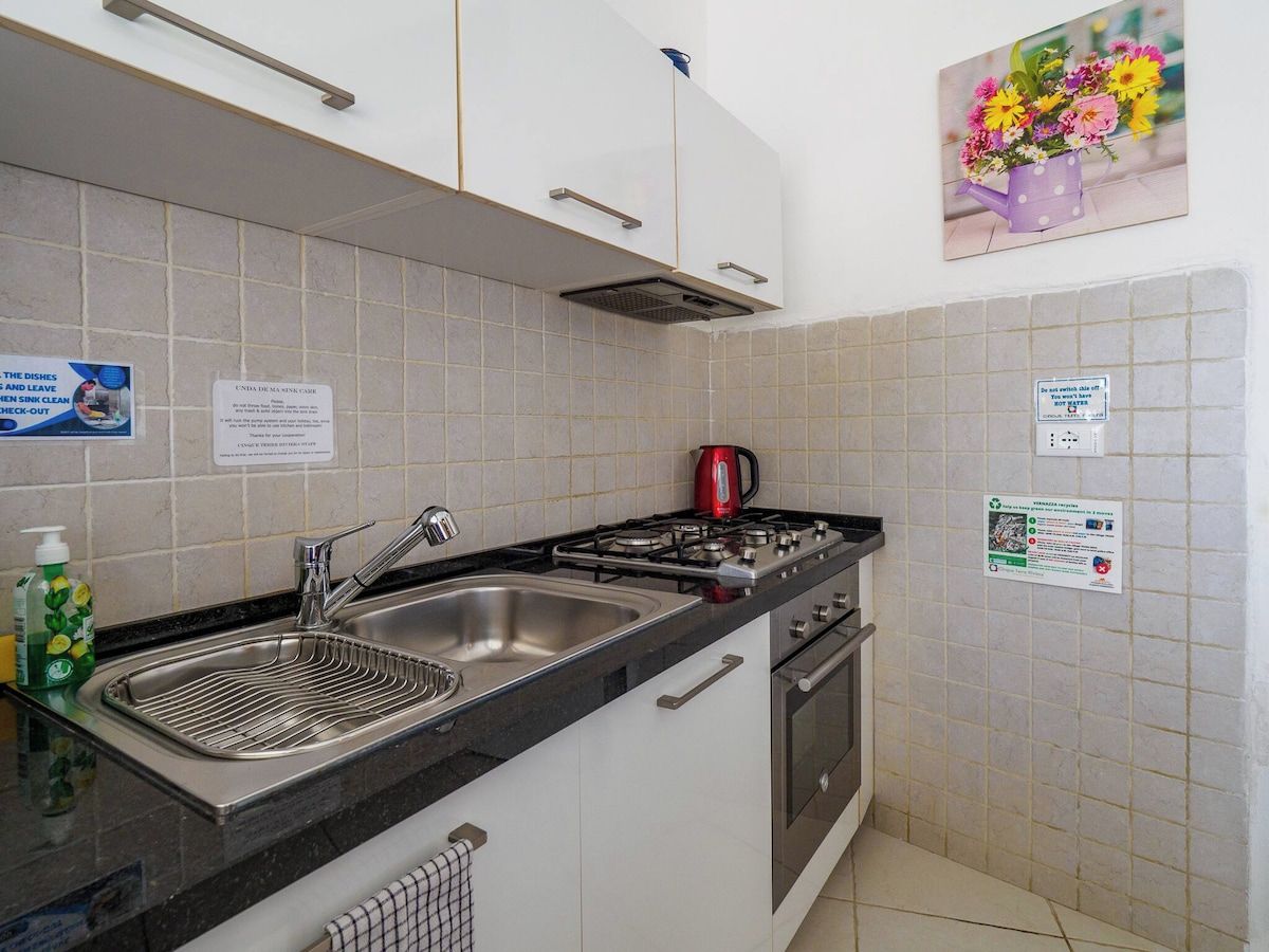 Une cuisine équipée d’un évier à deux bacs, d’une cuisinière à gaz et d’une bouilloire. Il y a des affiches au mur et une bouteille de liquide vaisselle sur le plan de travail.