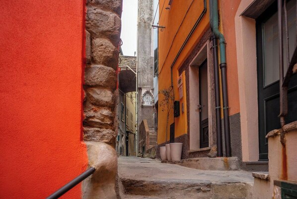 A narrow street with stone steps leading to a building with a black door and a small tree.