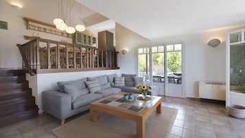 TV, fireplace, DVD player, books