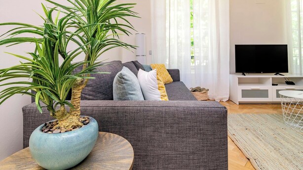 Un soggiorno con un divano grigio, una pianta in vaso blu, un tavolino rotondo in legno, un televisore a schermo piatto e un mobile TV bianco.