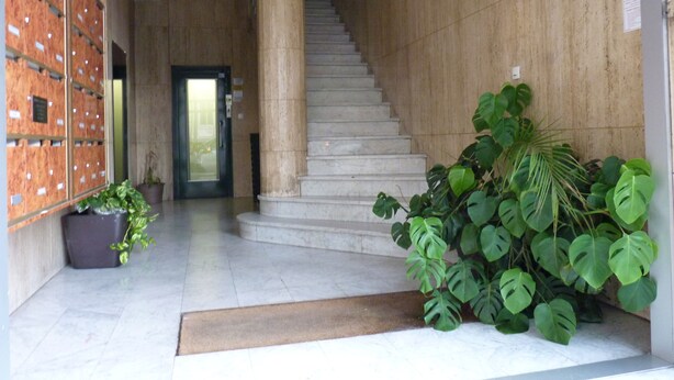 Ein modernes Gebäude mit Treppe, einer Holzwand mit Stauraumeinheiten und einem Blumentopf.