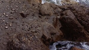 A coastal building with a stone facade, located near a rocky shoreline with waves crashing onto the beach. - Apartments Briest - Studio Apartment (Dubrovnik)