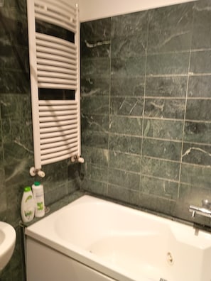 Bathtub, hair dryer, bidet, towels