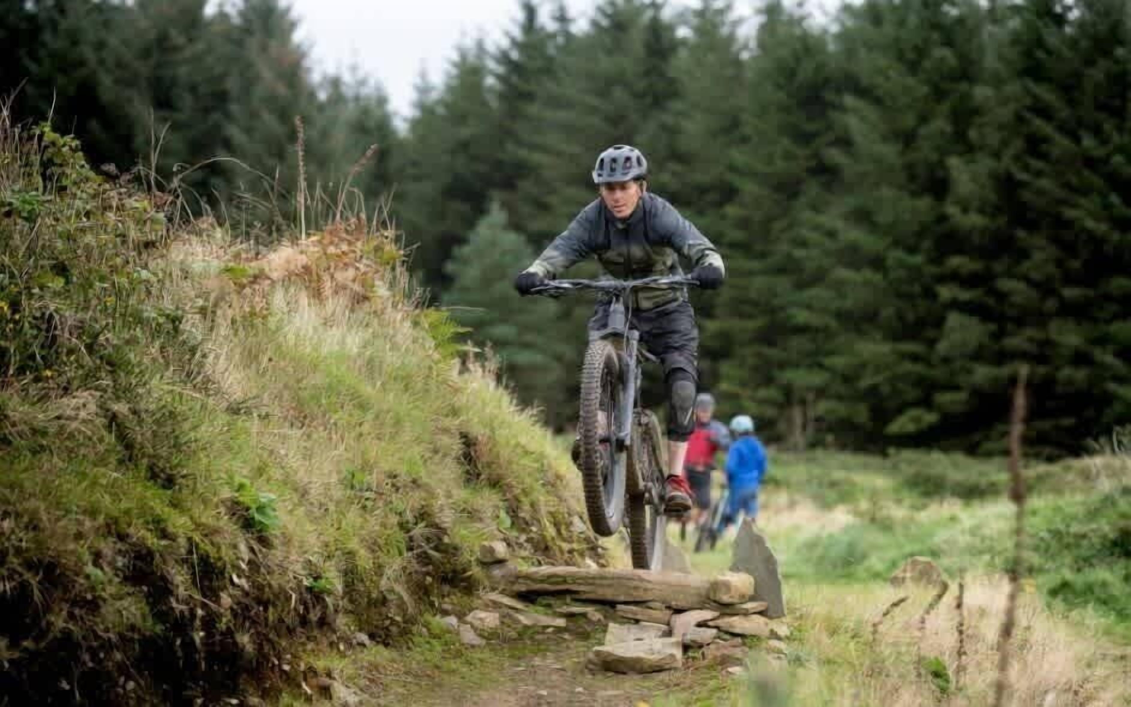 A mountain biker navigating a trail with natural obstacles.
