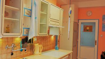 Fridge, microwave, oven, cookware/dishes/utensils