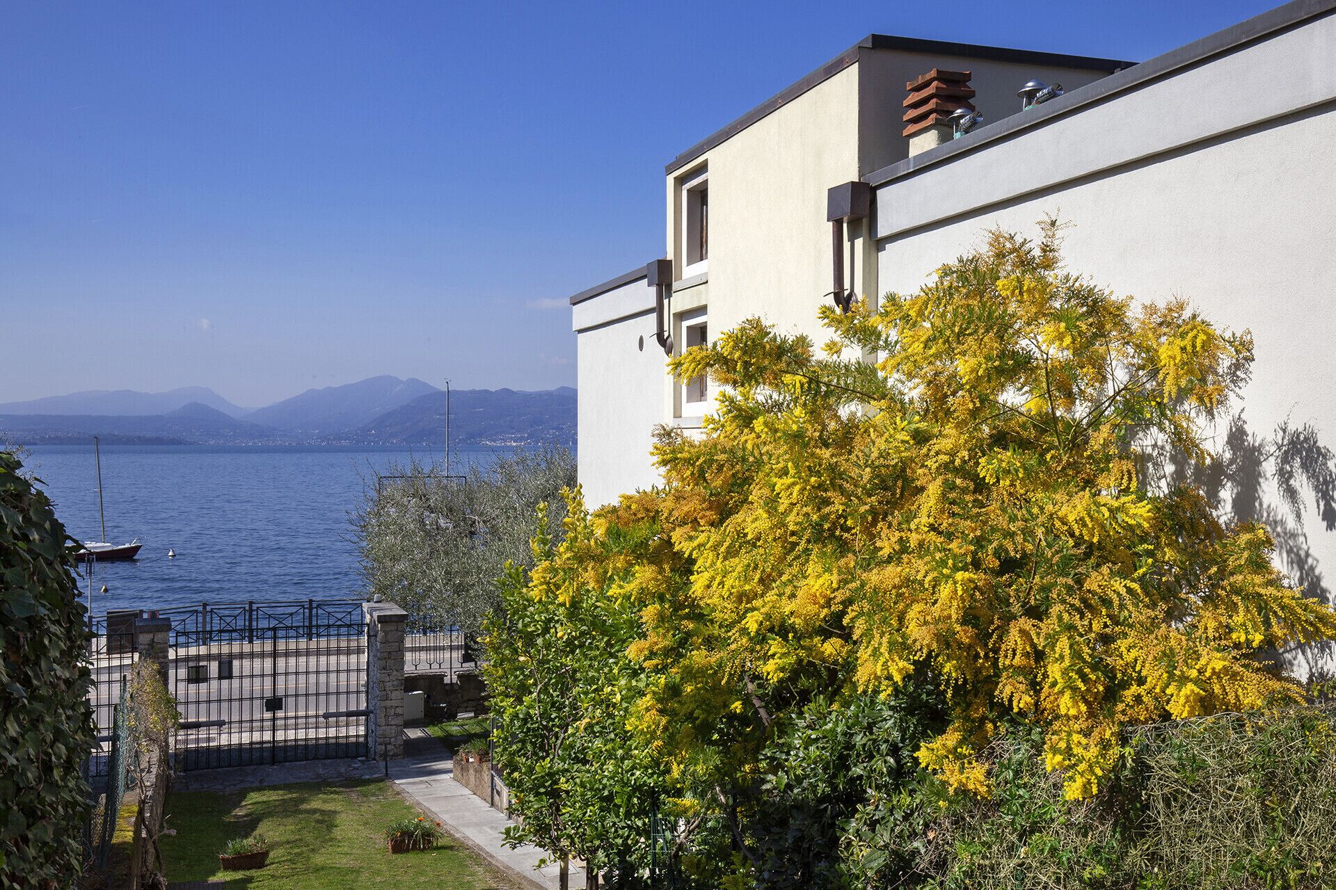 A building with a view of the lake and mountains, a tree with yellow flowers, and a gate.