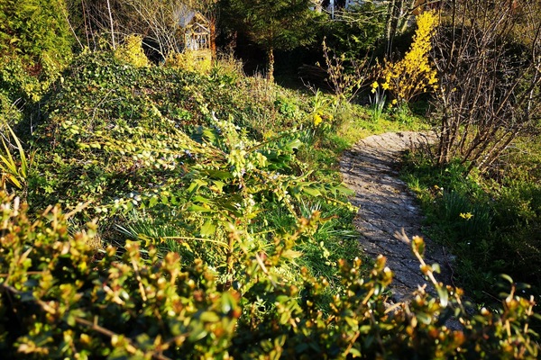 Terrein van de accommodatie