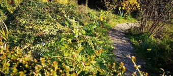 Cottage near the Landing beaches and the fishing port of Port en Bessin