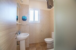 Combined shower/bathtub, hair dryer, towels