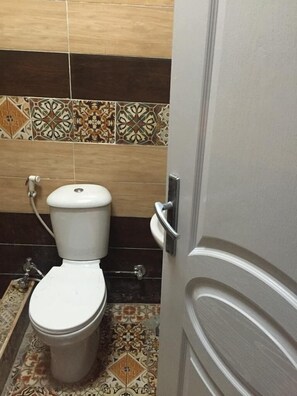 Douche, sèche-cheveux, serviettes fournies, papier toilette