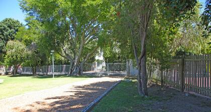 Cottage moderne dans la haute Constantia