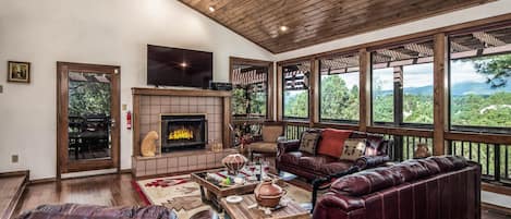 TV, fireplace, DVD player