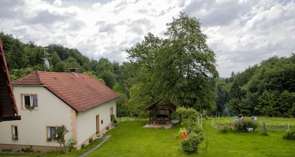 Wohnung im Vesel Gehöft, lokale Erfahrung