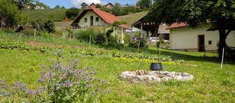 Apartment at the Vesel homestead, local experience
