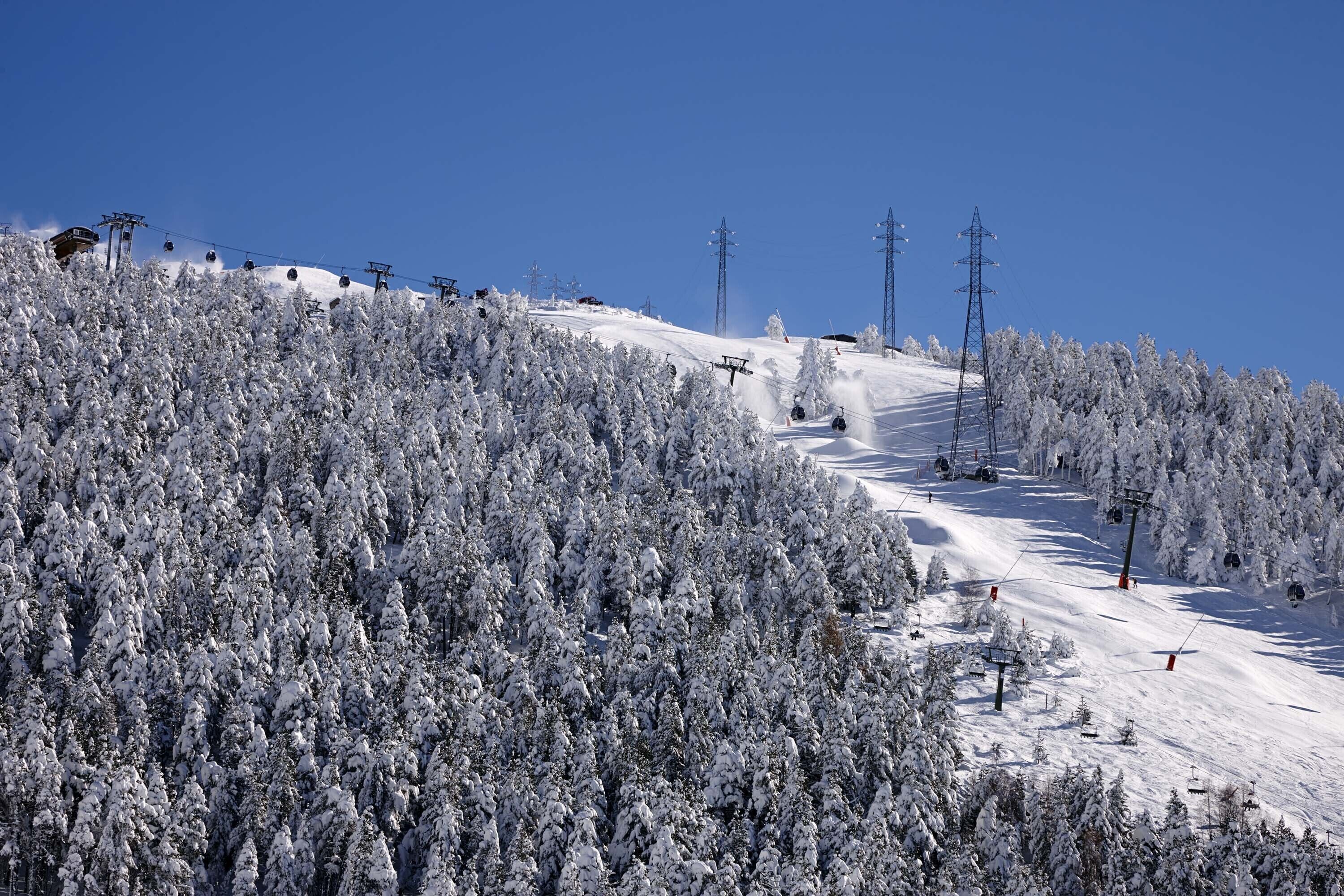 Une pente de montagne enneigée, avec des remontées mécaniques et des arbres.