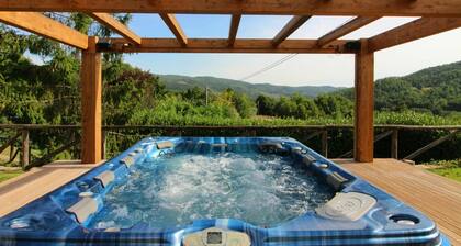 Beautiful private villa for 10 people with A/C, private pool, WIFI and TV, close to Arezzo