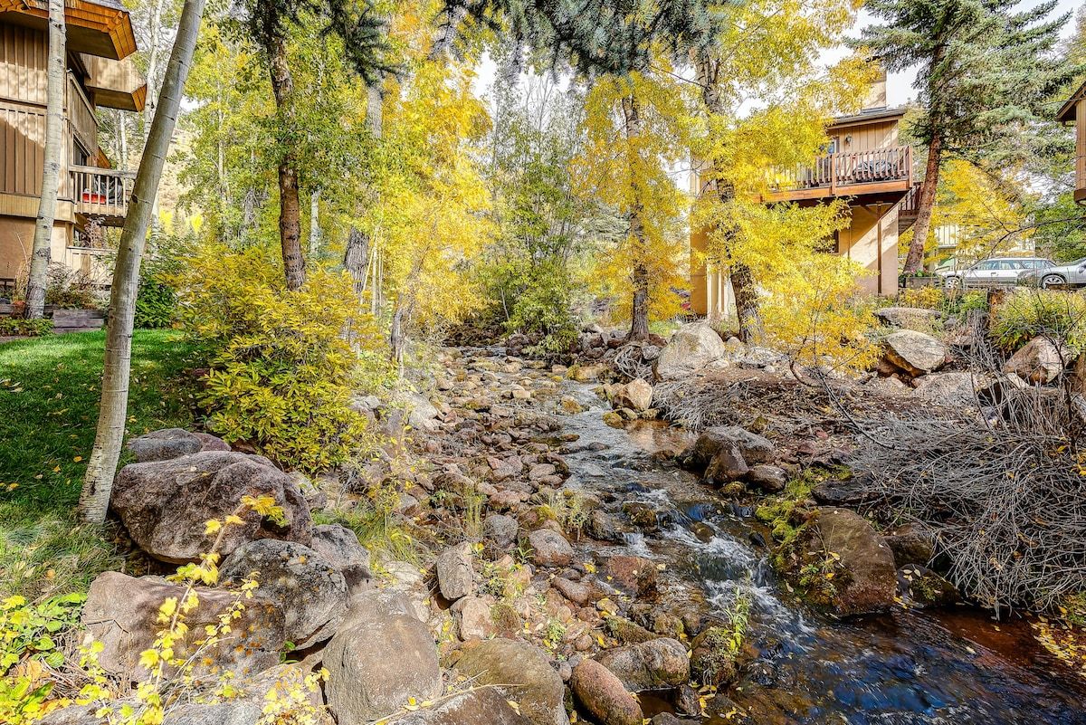 A natural outdoor area with a stream, rocks, and trees with yellow leaves.