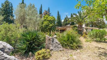 Jardines del alojamiento