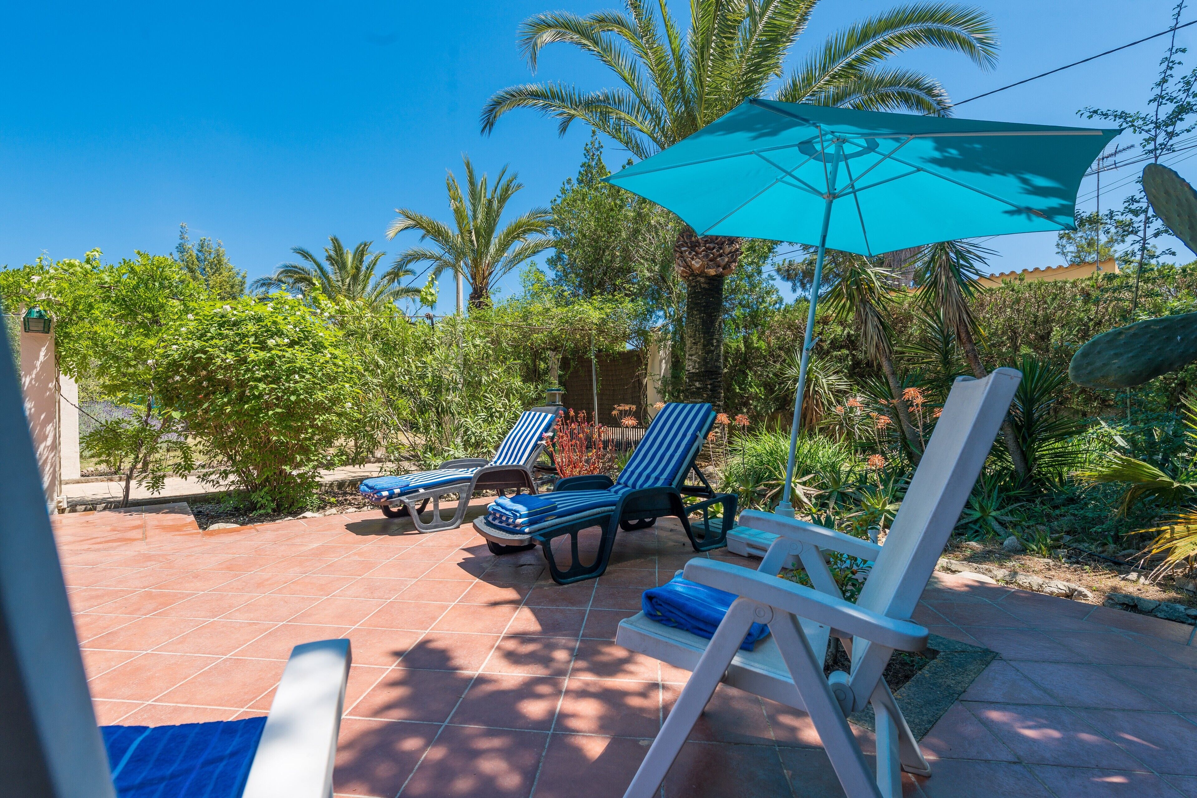 A patio area with lounge chairs and a large umbrella, surrounded by palm trees and greenery.