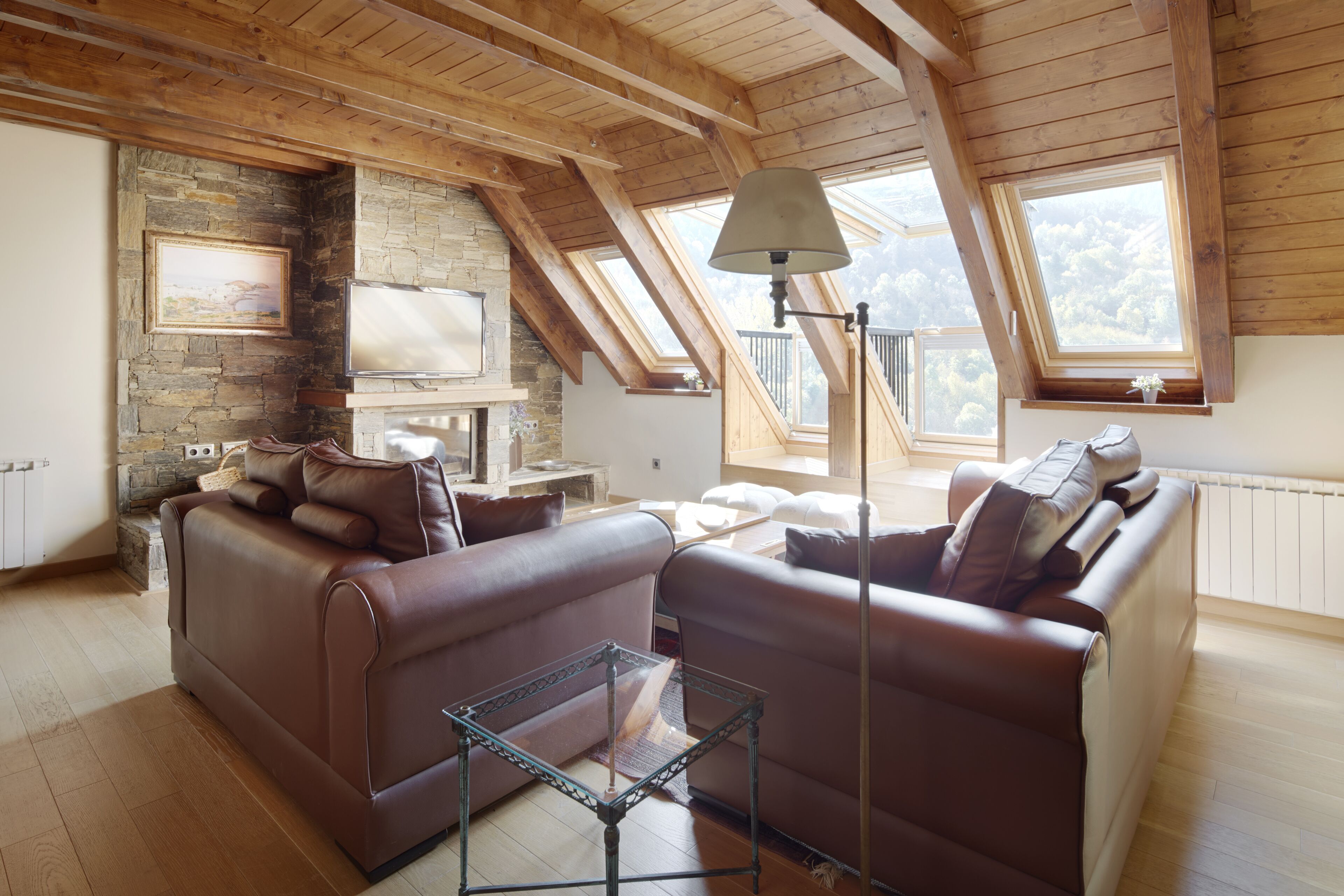 Televisor, llar de foc i reproductor de DVD 