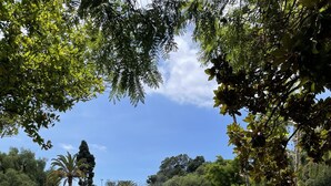 Un parco con una fontana, uno stagno e un vialetto lastricato.