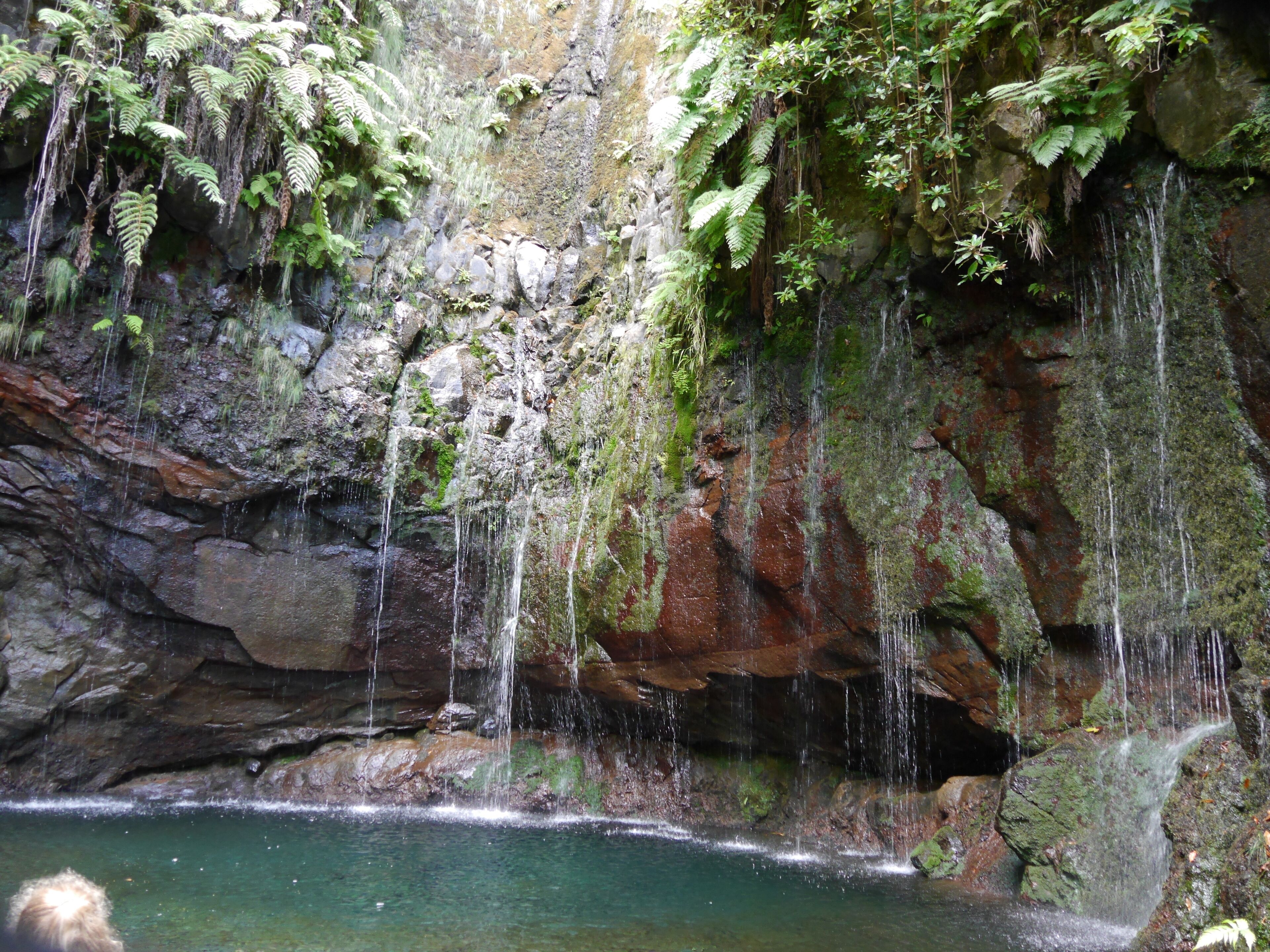 A waterfall cascading over a rocky cliff into a clear pool, surrounded by lush greenery.