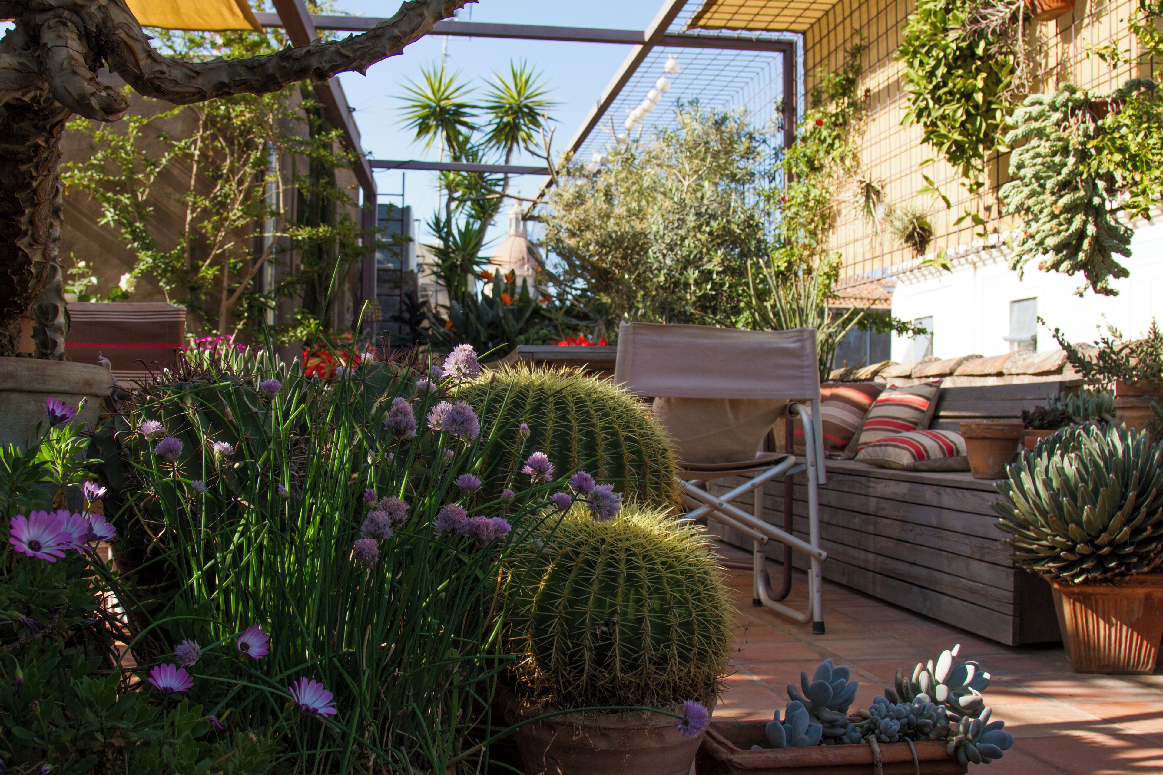 Un jardin avec différentes plantes, un banc en bois et une chaise en métal.