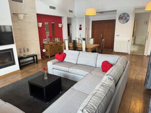 TV, fireplace, video games, DVD player
