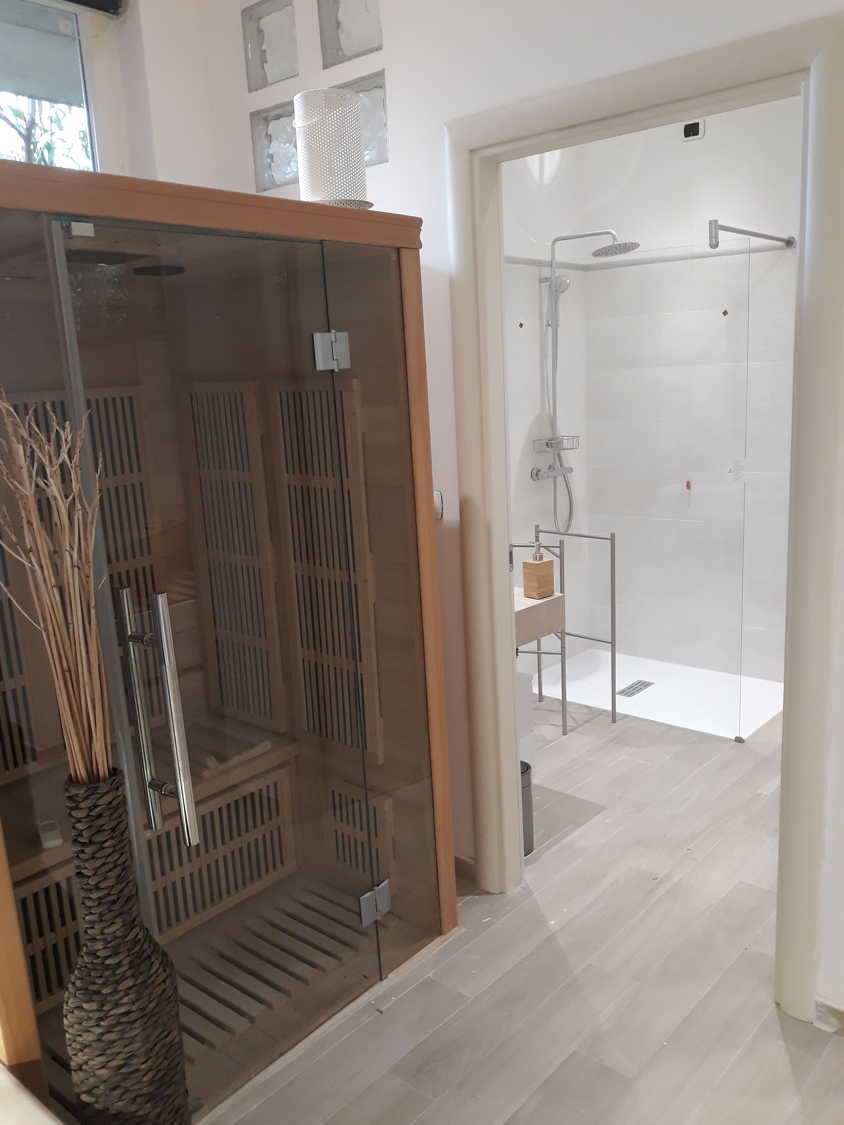 Un bagno moderno con box doccia in vetro, un armadietto in legno e un vaso decorativo con canne.
