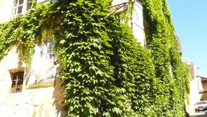 A building covered with green ivy, a bicycle parked in front, and a sign that reads "EXPO".