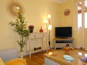 Fernseher, Videothek