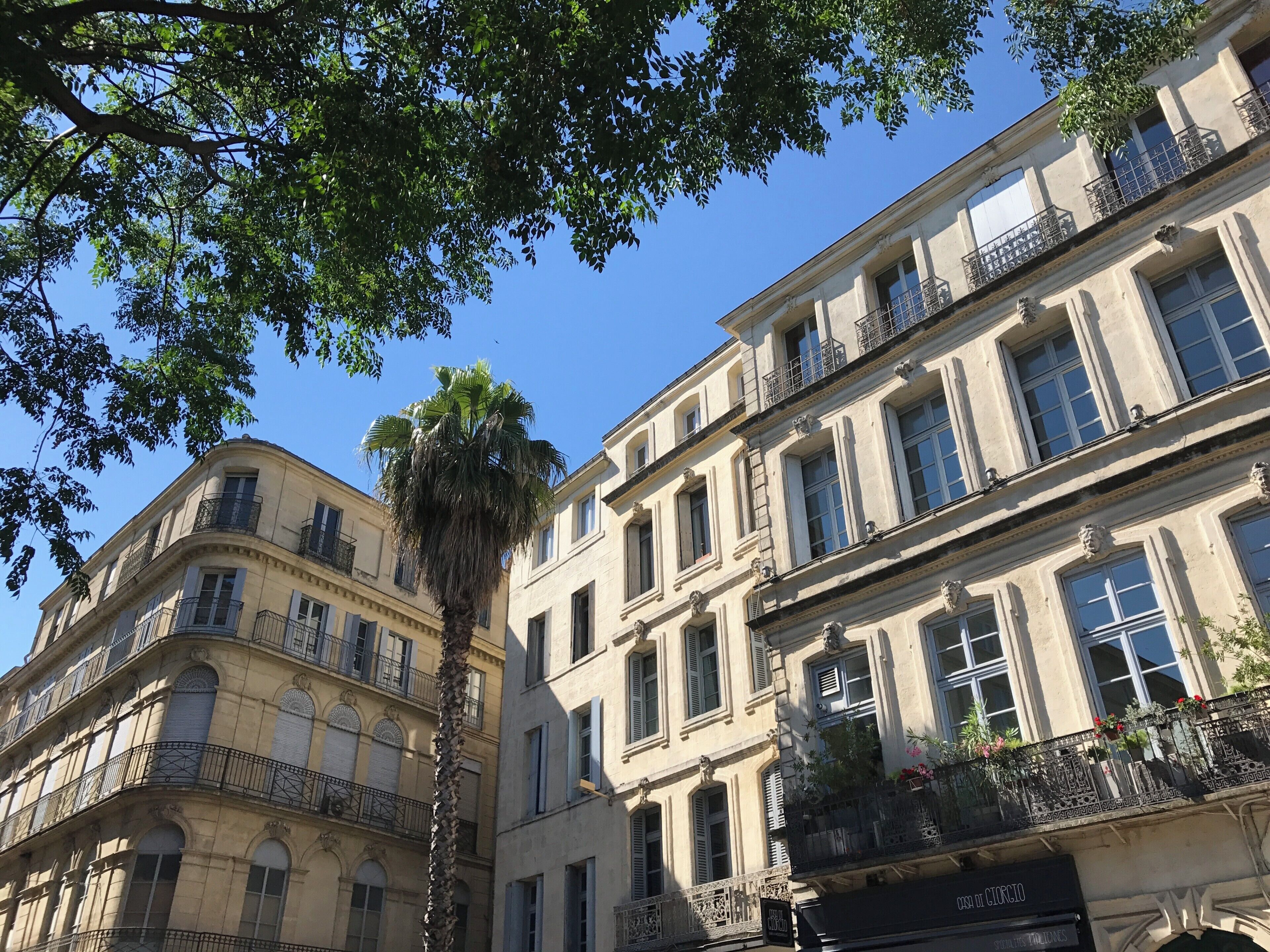 Un immeuble à plusieurs étages doté de balcons, d’un palmier et surplombant un ciel bleu azur.