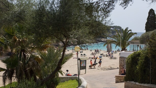 A beach with palm trees, a pathway leading to the beach, and people enjoying the area. - CASA HECTOR - Villa with private pool in Cala d'Or. Free WiFi (Santanyí)