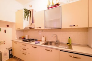 A kitchen with white cabinets, a stainless steel sink, a stove, and a hanging plant. - Casa Pina Quiet Apartment (Vernazza)