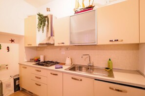 A kitchen with white cabinets, a stainless steel sink, a stove, and a hanging plant.