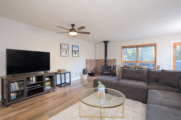 TV, caminetto, libri