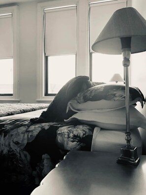 3 habitaciones, escritorio, tabla de planchar con plancha y wifi gratis 