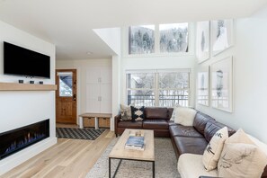 TV, DVD player, books, video library