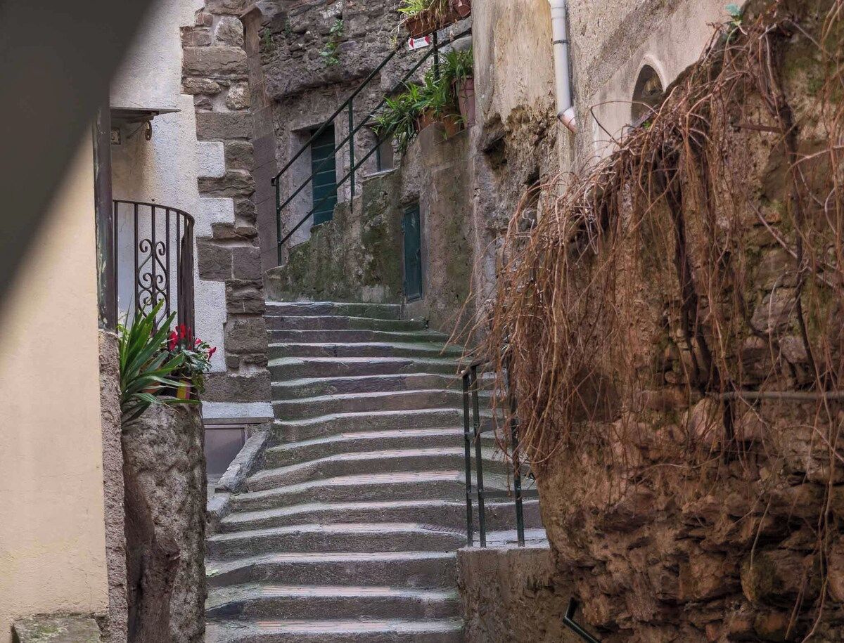 A narrow stone staircase with metal railings, leading to a building with arched windows.