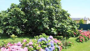 A garden with hydrangea bushes in pink and blue, a large tree, and a house in the background.