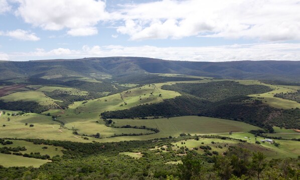 منظر من الجو على ارتفاع عالٍ