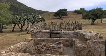 Bauernhofaufenthalte, hier können Sie sich entspannen und die Schönheit der Natur genießen