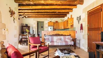 TV connectée, cheminée, lecteur de DVD, livres