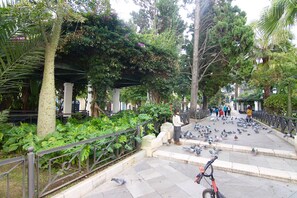 Enceinte de l’hébergement